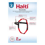 Hondentuigje Company of Animals Halti Zwart/Rood Maat S (36-64 cm) Hondentuigje Company of Animals Halti Zwart/Rood Maat S (36-64 cm)