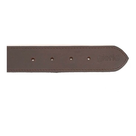 Hondenhalsband Gloria Bruin 75 cm (75 x 4 cm)