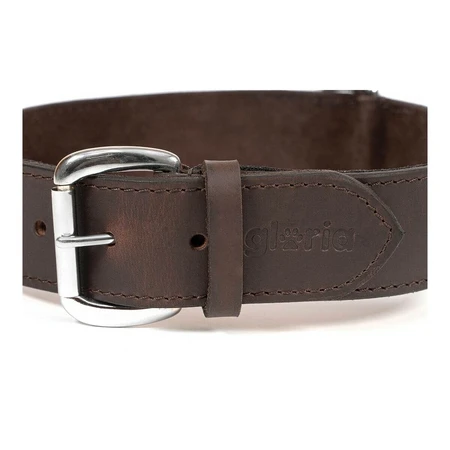 Hondenhalsband Gloria Bruin 75 cm (75 x 4 cm)