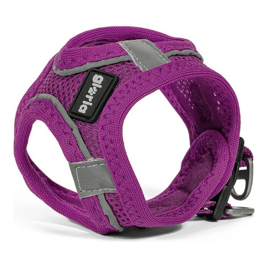 Hondentuigje Gloria Air Mesh Trek Star Verstelbaar Paars Maat XXXS (18-20 cm) Hondentuigje Gloria Air Mesh Trek Star Verstelbaar Paars Maat XXXS (18-20 cm)