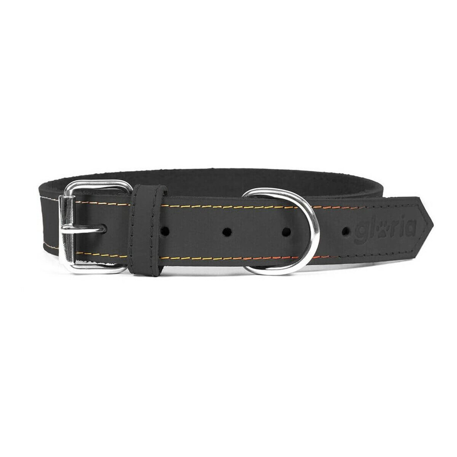 Comprar Dog collar Gloria Oasis Black (1,2 x 35 cm) Dog collar Gloria Oasis Black (1,2 x 35 cm)
