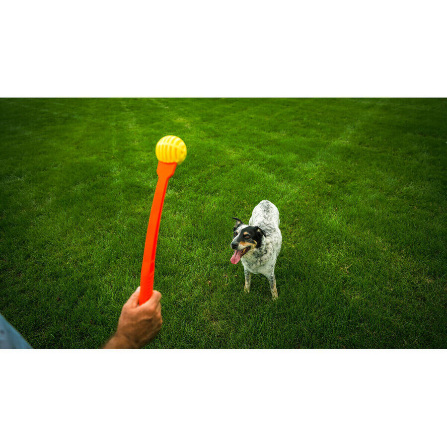 Ballenwerper voor honden Hunter