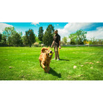 Ballenwerper voor honden Hunter