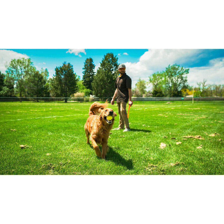 Ballenwerper voor honden Hunter