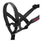 Gulerele de dresaj pentru câini Company of Animals Halti Negru Botniță (29-36 cm) Gulerele de dresaj pentru câini Company of Animals Halti Negru Botniță (29-36 cm)