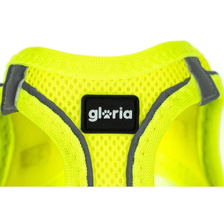 Hondentuigje Gloria Trek Star 27-28 cm 31-34,6 cm Geel XS
