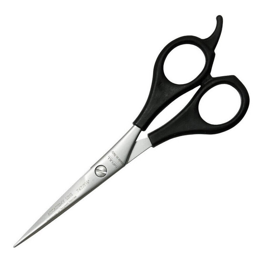 Comprar Foarfece pentru animale de companie Bifull Academy (15 cm) (15,2 cm) Foarfece pentru animale de companie Bifull Academy (15 cm) (15,2 cm)