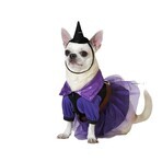 Kostuum voor honden Heks Maat M Kostuum voor honden Heks Maat M