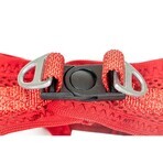 Harnais pour Chien Gloria Trek Star 24-26 cm 28-28,6 cm Rouge XXS Harnais pour Chien Gloria Trek Star 24-26 cm 28-28,6 cm Rouge XXS