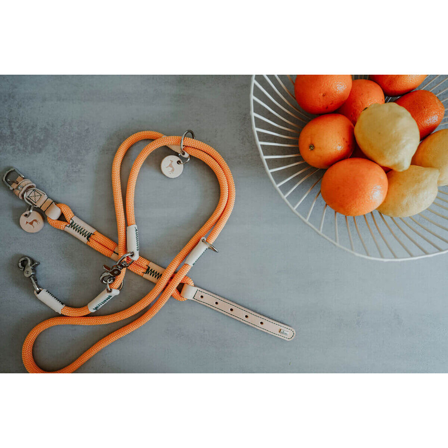 Collier pour Chien Hunter Malia Orange S/M 35-44 cm