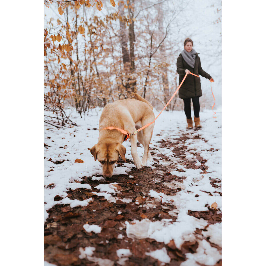Hundehalsband Hunter Convenience 53-61 cm L/XL Orange Hundehalsband Hunter Convenience 53-61 cm L/XL Orange