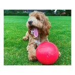 Giocattoli per cani Company of Animals Boomer Azzurro (200mm) Giocattoli per cani Company of Animals Boomer Azzurro (200mm)