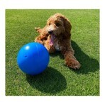 Giocattoli per cani Company of Animals Boomer Azzurro (200mm) Giocattoli per cani Company of Animals Boomer Azzurro (200mm)