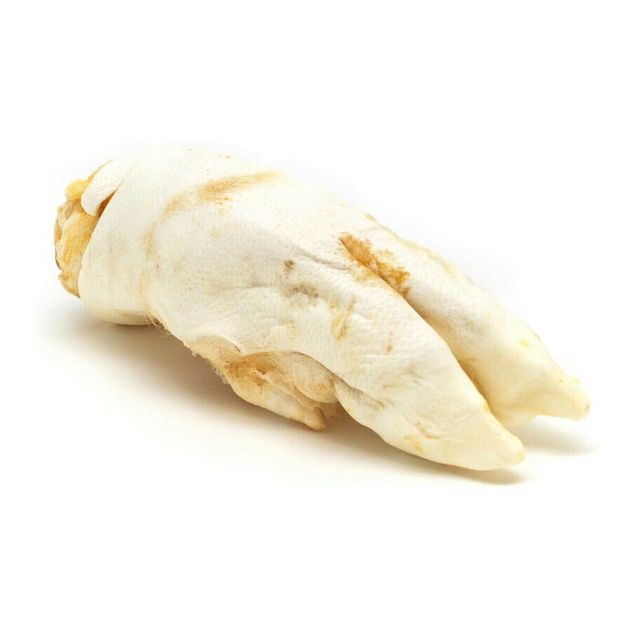 Winkel op Snack voor honden Gloria Voeten Snack voor honden Gloria Voeten