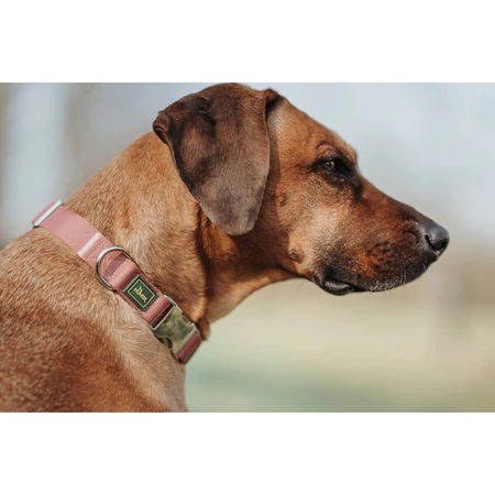 Collar para perro Hunter Inari Rojo XL 45-65 cm