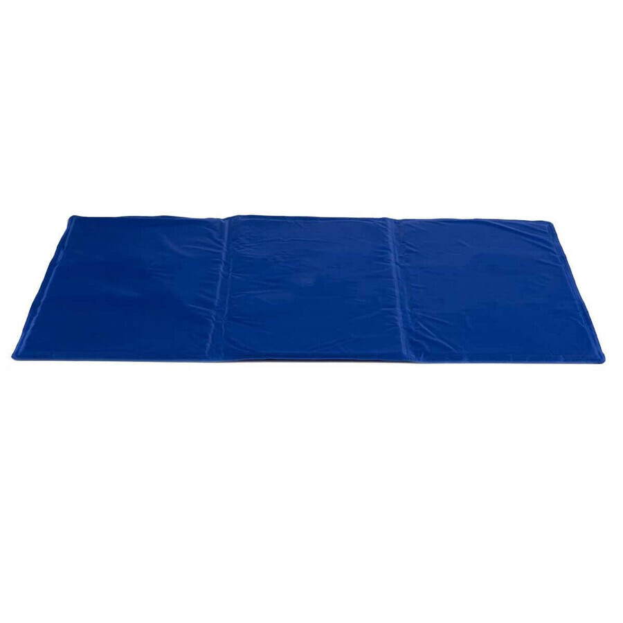 Kleed voor honden Verfrissend Blauw Schuim Gel 49,5 x 1 x 90 cm (6 Stuks) Kleed voor honden Verfrissend Blauw Schuim Gel 49,5 x 1 x 90 cm (6 Stuks)