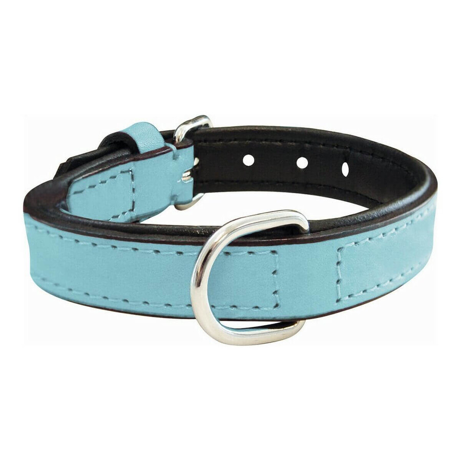 Winkel op Hondenhalsband Gloria Gestoffeerd Blauw (40 cm) (40 x 2 cm) Hondenhalsband Gloria Gestoffeerd Blauw (40 cm) (40 x 2 cm)