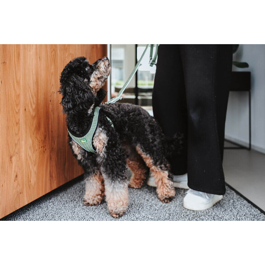 Harnais pour Chien Hunter Comfort Vert XS/S 37-42 cm Harnais pour Chien Hunter Comfort Vert XS/S 37-42 cm