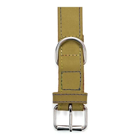 Collar para perro Gloria Oasis Verde (65 x 3 cm)