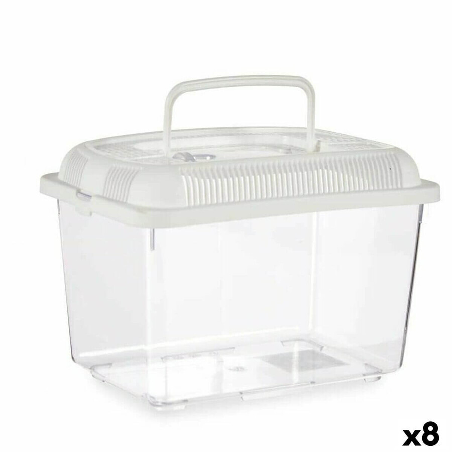 Acquista Vasca per pesci con maniglia Grande in plastica bianca 7 L 20 x 20 x 20 x 30 cm (8 unità) Vasca per pesci con maniglia Grande in plastica bianca 7 L 20 x 20 x 20 x 30 cm (8 unità)