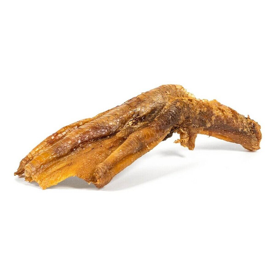Shop Hundesnack Gloria Ente 5 Stück Hundesnack Gloria Ente 5 Stück