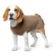 Jersey para perro Hunter Malmö