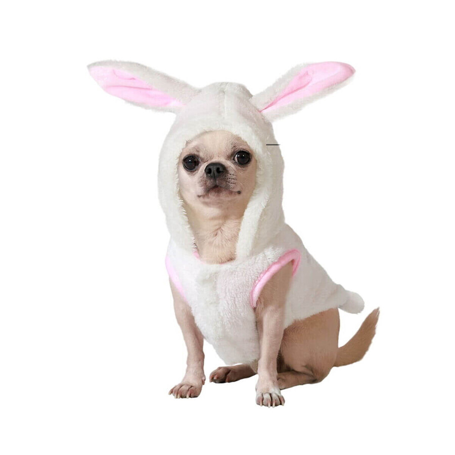 Cumpără Costum de câine Mărimea M Iepure Costum de câine Mărimea M Iepure