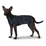 Hundespringpferd Hunter Finja