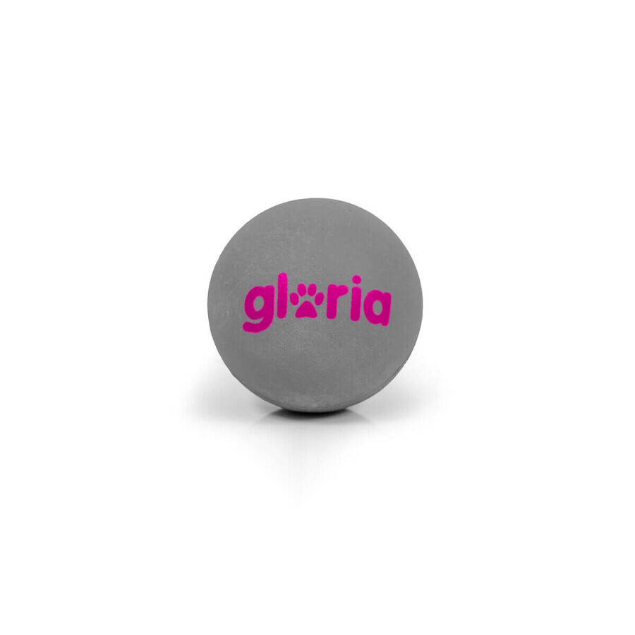 Huisdierenbal Gloria PLAY AND RUN Grijs Schuim TPR S