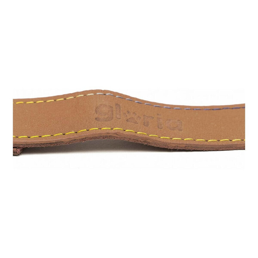 Hondenriem Gloria Oasis 3 x 60 cm Bruin