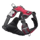 Hamaca para perros Dingo Rojo Acolchada Talla XS