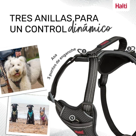 Harnais pour Chien Company of Animals Gris XS 20-32 cm