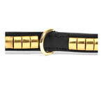 Hondenhalsband Gloria Duna Zwart Gouden (35 cm) (35 x 2 cm)