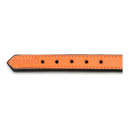 Collar para perro Gloria acolchado naranja (50 x 2,5 cm)