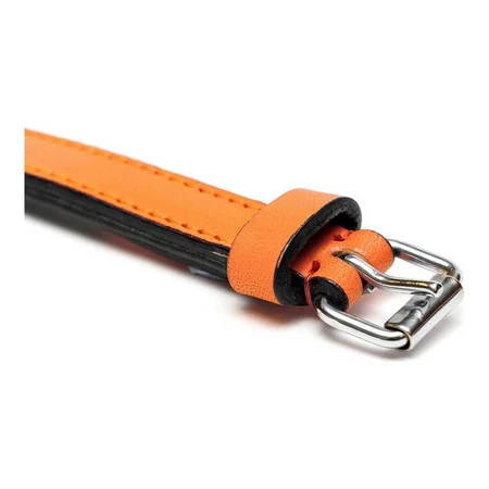 Collar para perro Gloria acolchado naranja (50 x 2,5 cm)