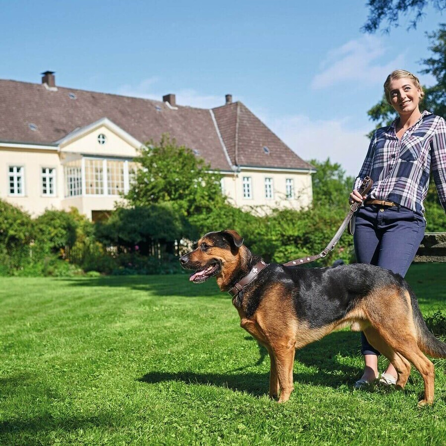 Zgardă pentru câini Hunter Swiss Black, maro (24-28.5 cm)