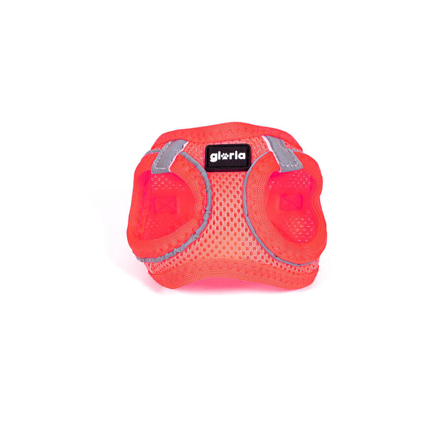 Shop Hundegeschirr Gloria Trek Star 27-28 cm 31-34,6 cm Rosa XS Hundegeschirr Gloria Trek Star 27-28 cm 31-34,6 cm Rosa XS