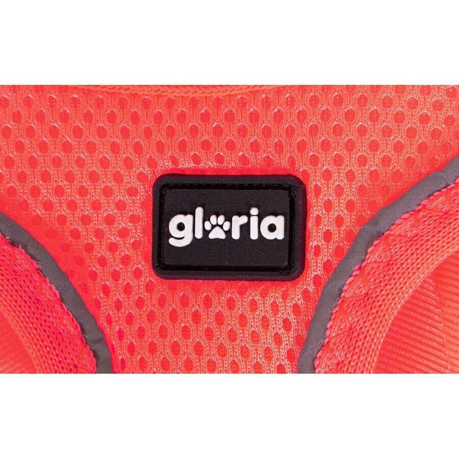 Hundegeschirr Gloria Trek Star 27-28 cm 31-34,6 cm Rosa XS Hundegeschirr Gloria Trek Star 27-28 cm 31-34,6 cm Rosa XS