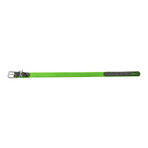 Collier pour Chien Hunter Convenience Vert Taille M/L (42-50 cm) Collier pour Chien Hunter Convenience Vert Taille M/L (42-50 cm)