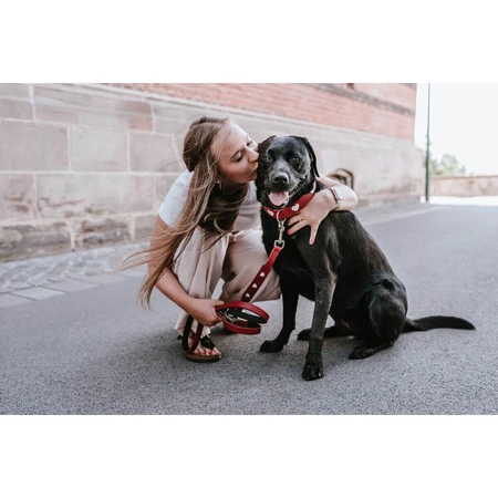 Hunter Correa para perro Rojo Hunter 2 m Ajustable