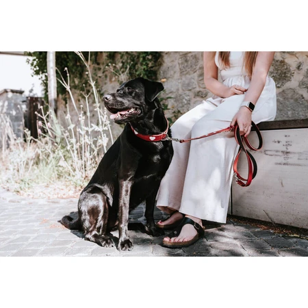 Hunter Correa para perro Rojo Hunter 2 m Ajustable