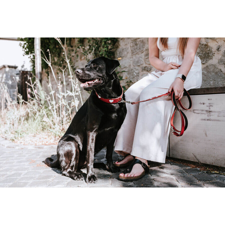 Dog Lead Hunter Red 2 m Adjustable Dog Lead Hunter Red 2 m Adjustable