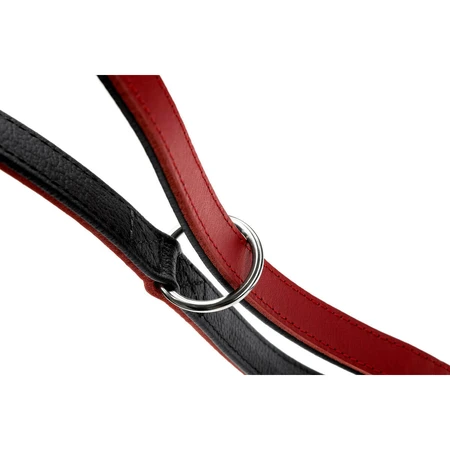 Hunter Correa para perro Rojo Hunter 2 m Ajustable