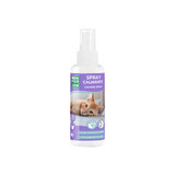 Lotion apaisante Menforsan 60 ml