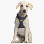 Imbracatura per Cani Batman XXS/XS Azzurro Imbracatura per Cani Batman XXS/XS Azzurro