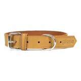 Hondenhalsband Gloria Oasis Geel (65 x 3 cm)