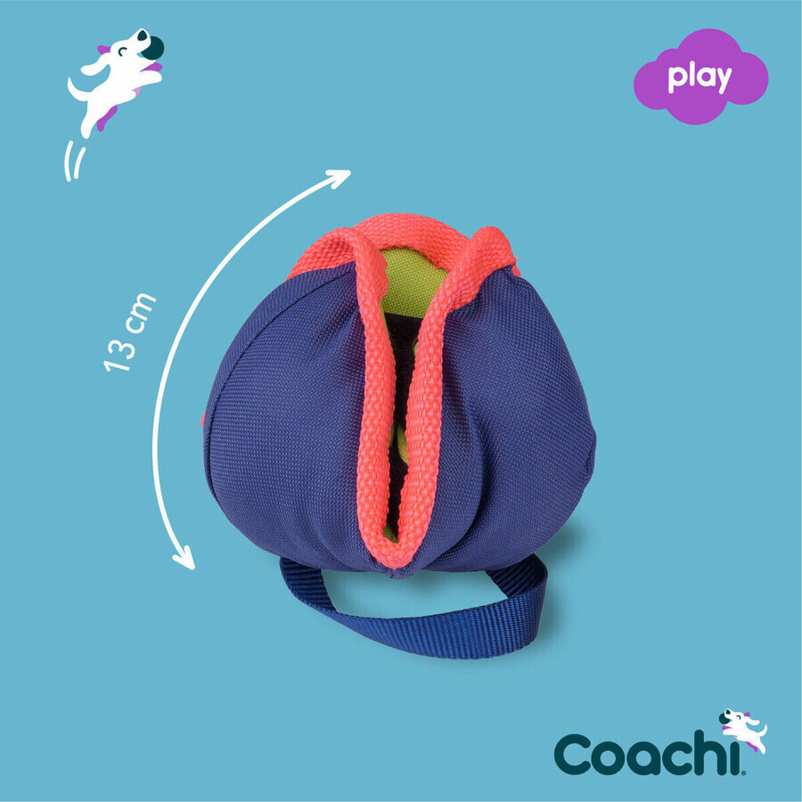 Training toy Coachi CHASE & TREAT Blue Training toy Coachi CHASE & TREAT Blue