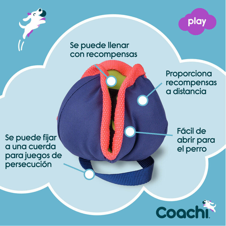 Training toy Coachi CHASE & TREAT Blue Training toy Coachi CHASE & TREAT Blue