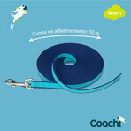 Trainingsgurt Coachi Blau Ausbildung Trainingsgurt Coachi Blau Ausbildung