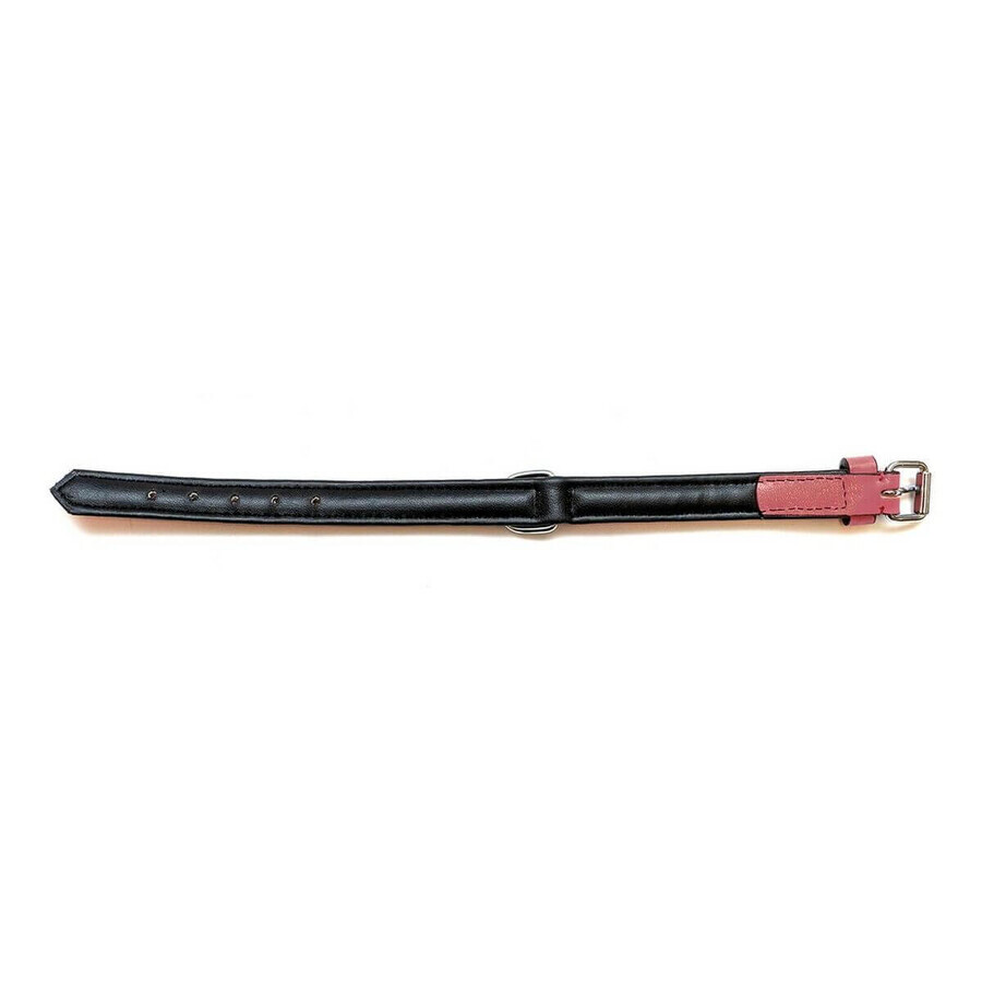Zgardă pentru câini Gloria Căptușit Coral (35 x 1,5 cm) Zgardă pentru câini Gloria Căptușit Coral (35 x 1,5 cm)